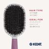 GB KENT Kent Boar Bristle Hair Cushion Hair Care Nylon Gentle On Tangle Finishing KENT Create KCR4 Brush, Brush, Brush, Shine, Manageability, Pins,