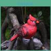 Christmas Red Bird Resin Ornament For Garden Decor And Festive Gift Giving