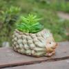 1 Pcs Ceramic Kiln Glaze Hedgehog Succulent Planter Garden Succulent Plant Pot Cute Bonsai Flower Pot Home Decoration