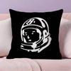 BBillionaire Boys Club Pillow Case  Ultra Soft Skin Friendly Fabric Cloud Like Comfort  Concealed Zipper