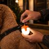 Evening Pet Walk Light Collar with Rechargeable Power, Daily Dog Gear Safety Light for Neighborhood Walk Use and Hanging Carry