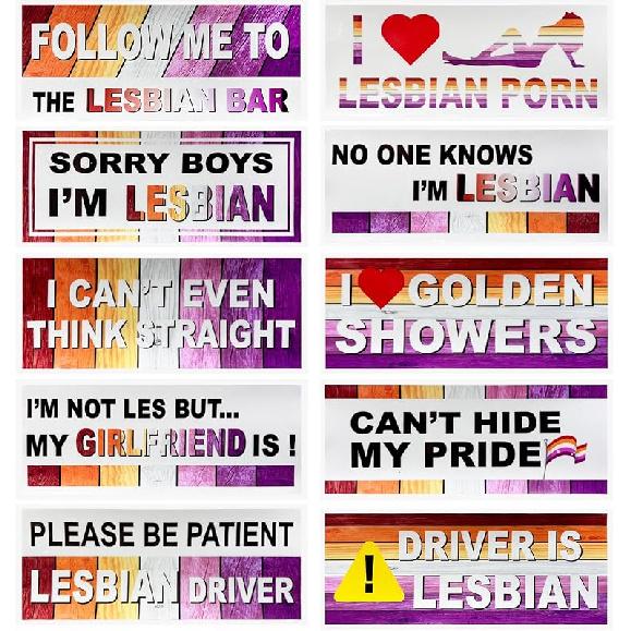 10 PCS Car Funny LGBT Stickers, Waterproof Prank Rainbow Bumper Stickers With Humor Text, Universal Colorful Gay Pride Decals For Vehicle Luggage