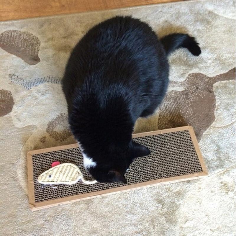 Cat Kitten Scratchpad Toy Play Corrugated Safe Cardboard Scratcher Catnip Bed