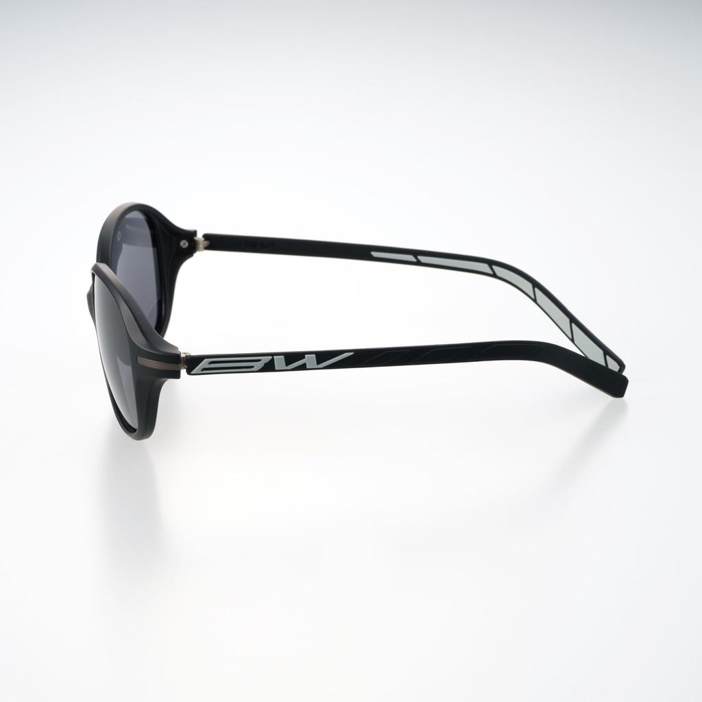 BUNNY WALK Polarized Sunglasses Matte Smoke BW-029 BW-0290F Black/Black