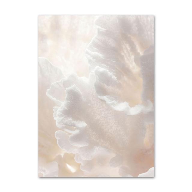 Liść palmowy różowy odcień złote drzwi muszla plażowa Nordic plakat ścienny na płótnie malarstwo ścienne drukowany obraz na wystrój salonu nieoprawione