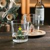 New 380ml Christmas Tree Mug Cute Cup Glass Cups Glass Mug Coffee Mug Home Decoration Christmas Gift Christmas Decoration