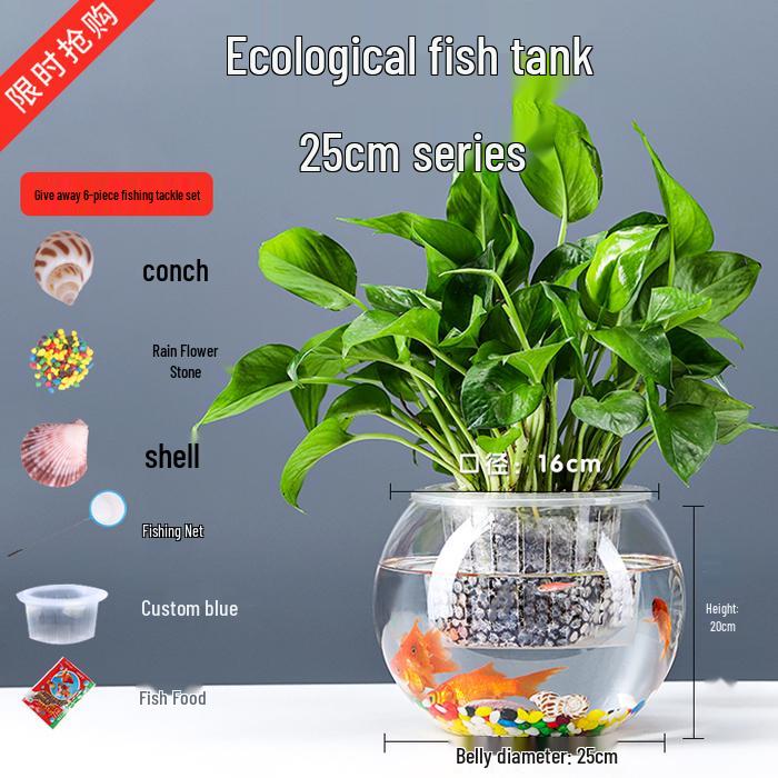 Transparent Round Glass Fish Tank for Office or Living Room - Small Desktop Aquarium for Goldfish or Turtles
