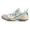 Li Ning Invincible No. ACE Cushioning Slip Resistant Abrasion Resistant Rebound Low top Badminton Shoes Men's AYAQ015-2
