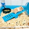 Puzzle Hamster Seesaw Toy Plastic Rodents Seesaw Funny Small Animal Toys  Cage Environment