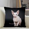 Musife Custom Sphynx Cat Pillowcase Home Decoration 45x45cm Zipper Square Pillowcase Throw Pillow Cover Drop Shipping 04.24