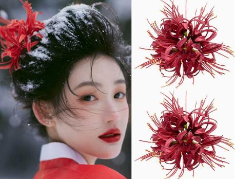 

Artificial Hair Clips, Side Clips One Size