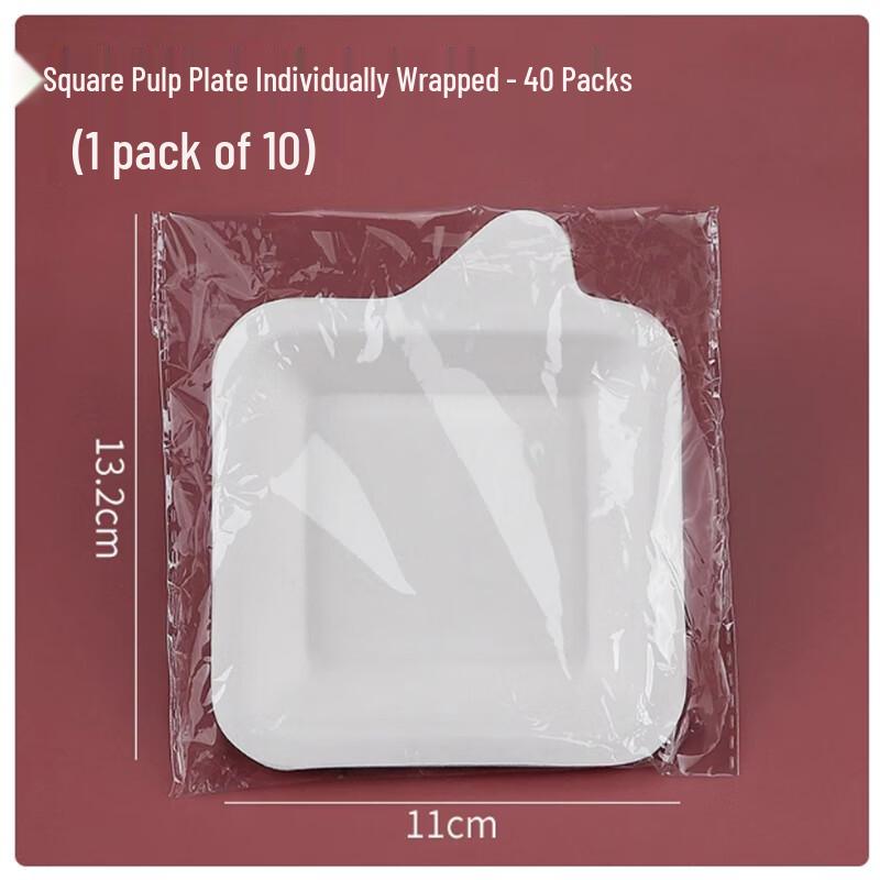 Disposable Sugarcane Pulp Plates