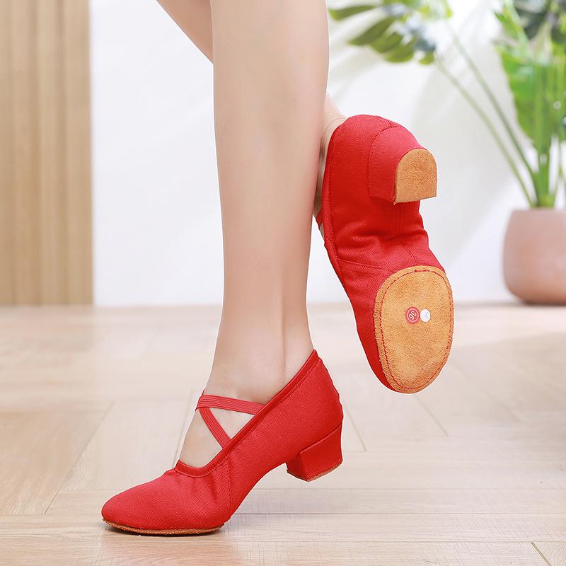 Damen Tanzschuhe ohne Schnürsenkel mit Absatz - Weiche Sohle für Ballett, Yoga, Bauchtanz, Erwachsene, Lehrer und zum Üben.