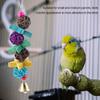 5pcs  Set Wooden Bird Parrot Swing Hanging Chew Climbing Toy Set Cockatiel Budgie