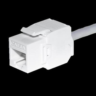 Networking – Network Cables