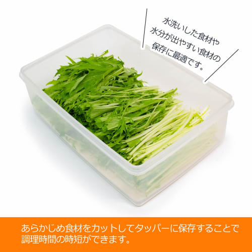 SankoPlastic Food Storage Container SS-2 with Slatted Base, Natural