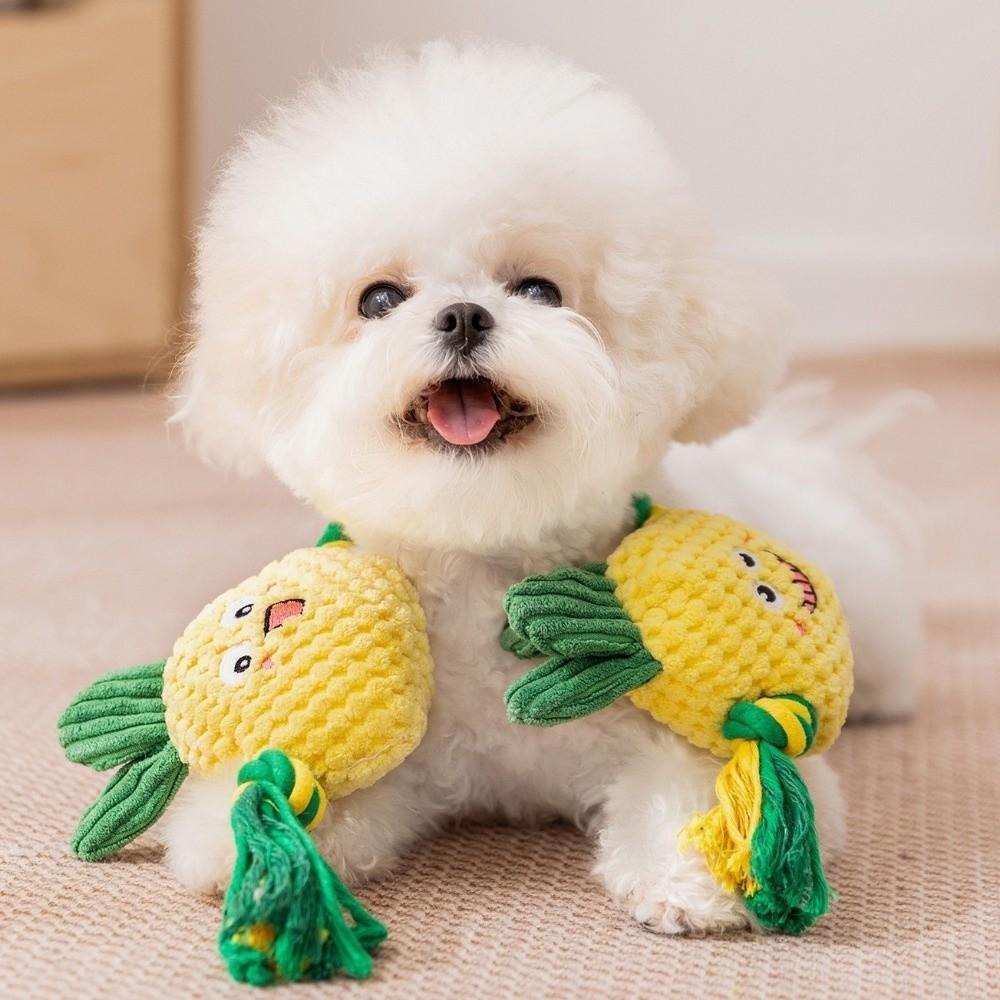 Bite-resistant Dog Plush Toy Knot Training Chew Dog Dental Cleaning Toy Builtin Squeaker Fruit Shape Dog Sound Squeaky Toy