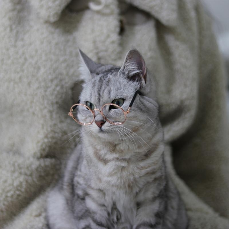 Cat Eye-wear Photos Props Accessories Cosplay Glasses Clear Lens Round Funny Clear Lens Round Glass Gift for Pet Puppy