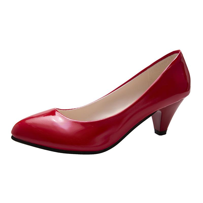 Spring and Autumn new sexy pointed large size women's shoes light rough heel workplace mouth work shoes