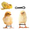 50/100Pcs Chicken Leg Bands Adjustable Hobbling Chicken Hobble Brace for Puddle Leg Repair Bird Quail Ducks Hatched