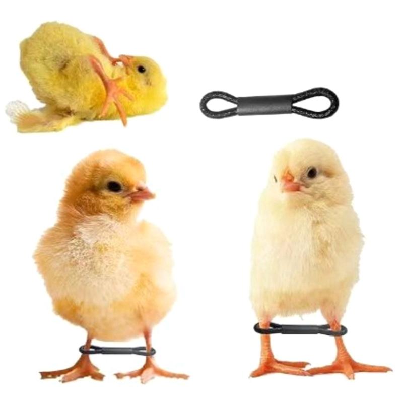 50/100Pcs Chicken Leg Bands Adjustable Hobbling Chicken Hobble Brace for Puddle Leg Repair Bird Quail Ducks Hatched