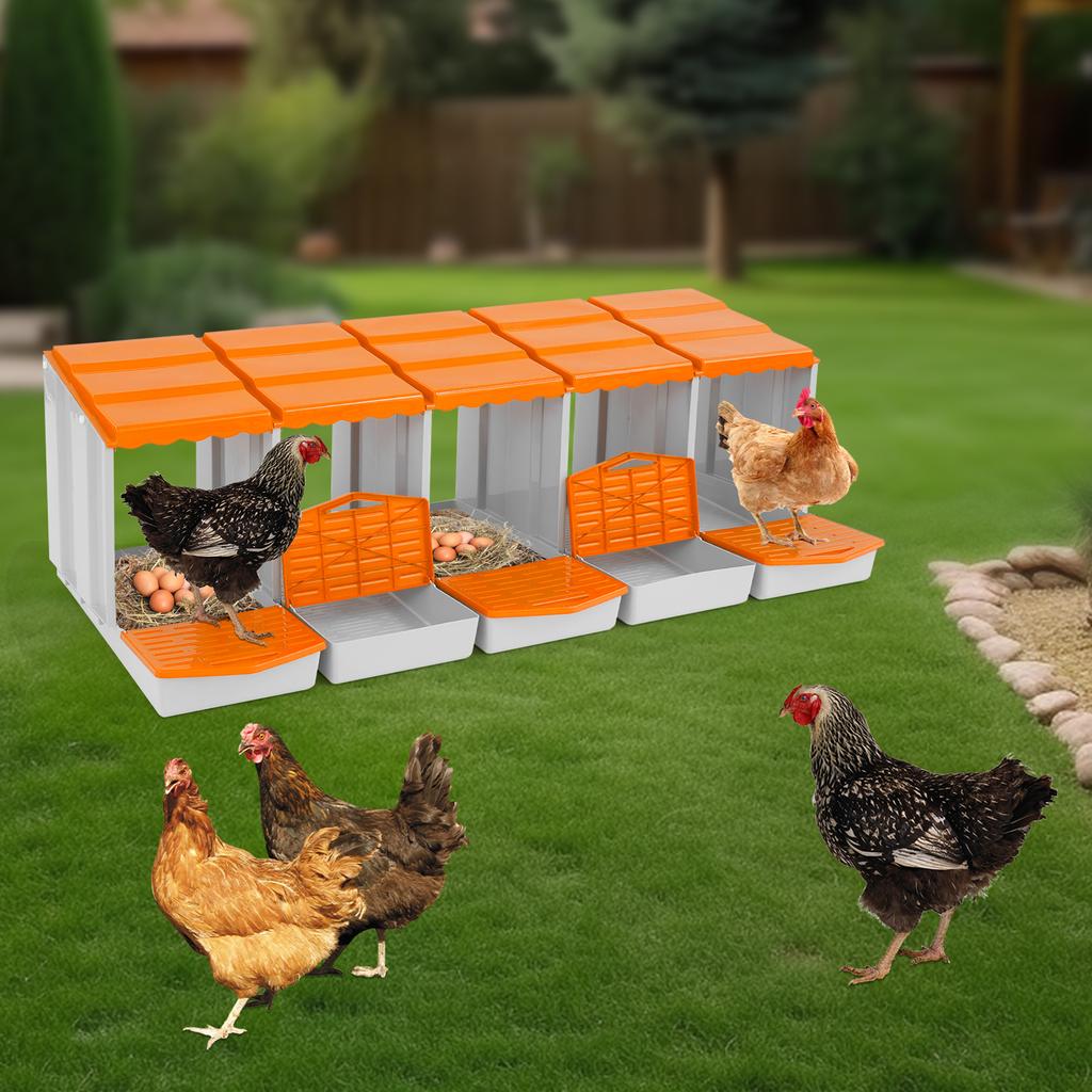 5-Compartment Chicken Nesting Box, Laying Hen Nest for Egg Collection, Durable PP Material,Farm & Coop Use, Poultry Supplies