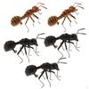 5 Pcs Animals Toys Educational High Simulation Figures