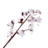 10 Heads Fake Flower Home Decor Cotton Stem Floral Branch Dried Cotton Flower Artificial Plants