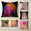 Pop Singersongwriter SSabrina CCarpenter  Square DoubleSided Printed Pillow Case Bedroom Bedside Pillow Sofa Cushion Cover