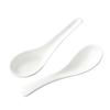Ruhan Pure White Non-Porous Ceramic Soup Spoon