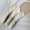 ZISIZ Natural Decorative Shell Spoons Set