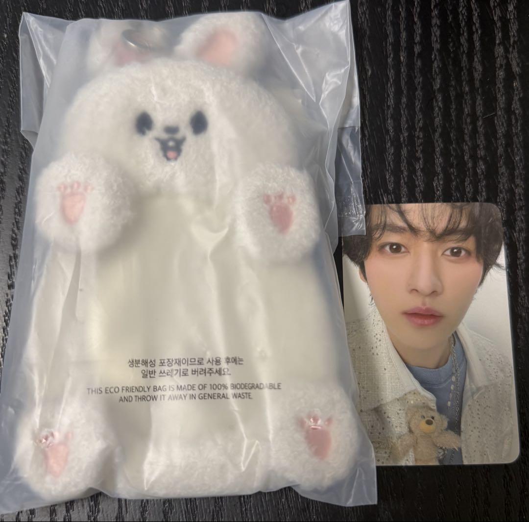 

[USED] Stray Kids Korean Fan Meeting Trading Card Case Reno