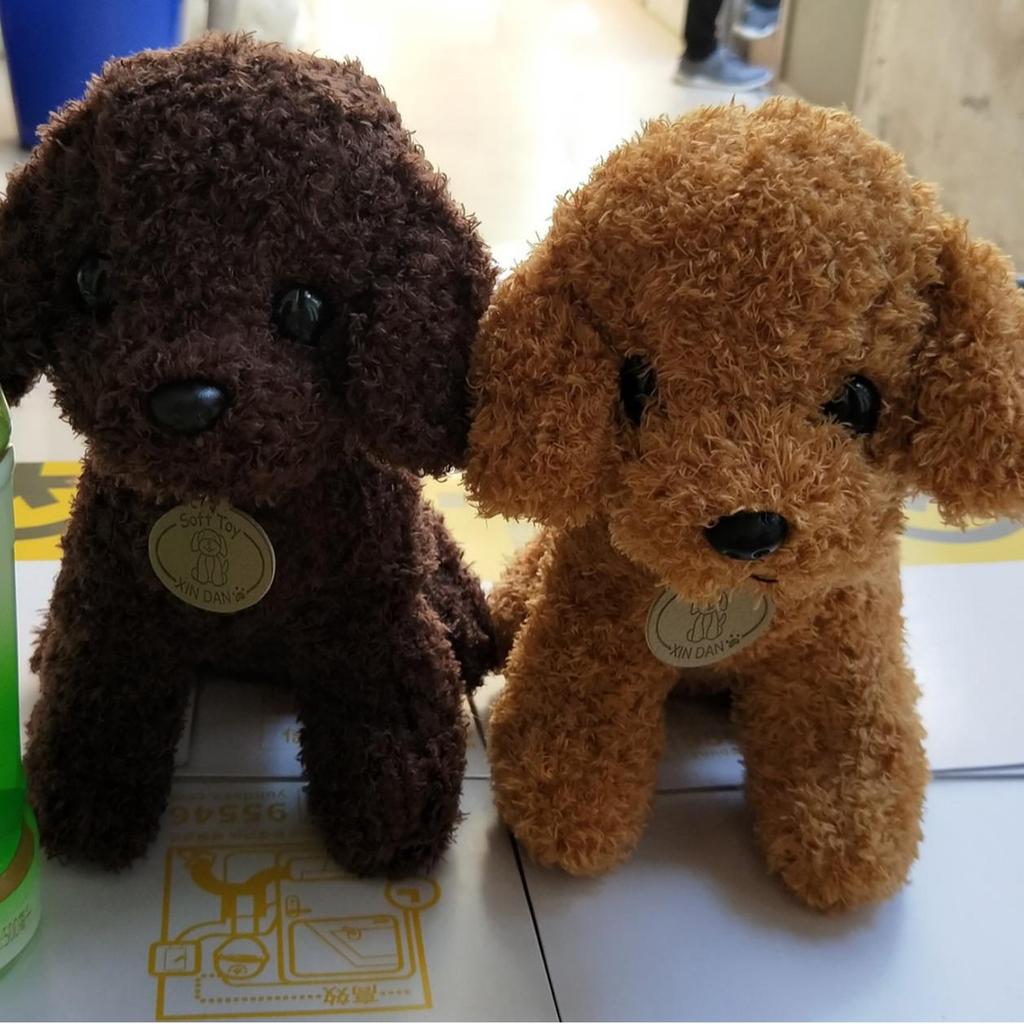 Curly Teddy Dog Plush Doll - Children's Birthday Gift Ragdoll Toy