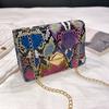 Fashion Chain Single Shoulder Snake Pattern Women's Bag New Printed Versatile Messenger Bag