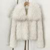 Short Imitation Fur Coat Women's Thickened Warm and Environmentally Friendly Fur Coat
