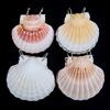 Natural shell books, handmade DIY notebooks, Instagram style, sticky notes, travel souvenirs, gift giving