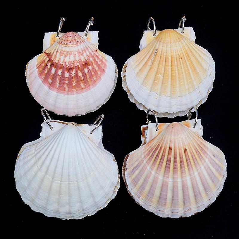 Natural shell books, handmade DIY notebooks, Instagram style, sticky notes, travel souvenirs, gift giving