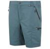 Regatta Leesville III Shorts