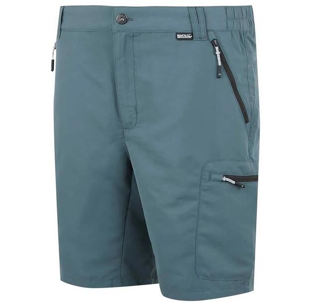 Regatta Leesville III Shorts