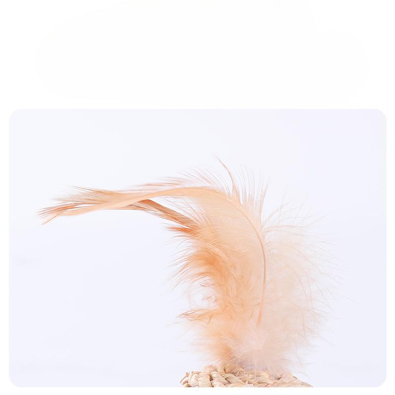 Cat Toy, Feather, Rattan, Bell, Sound Ball, Pet Dog, Plant, Double Ball Set, Interactive and Chewy