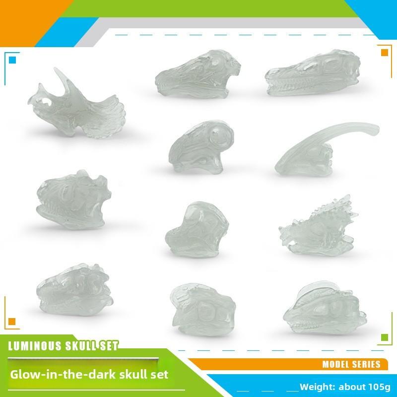 

Prehistoric Animal Head Skeleton Model With Lighted Illumination For Collection Enthusiasts StyleA