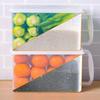 Xitianlong Sealed Food Storage Container with Handle