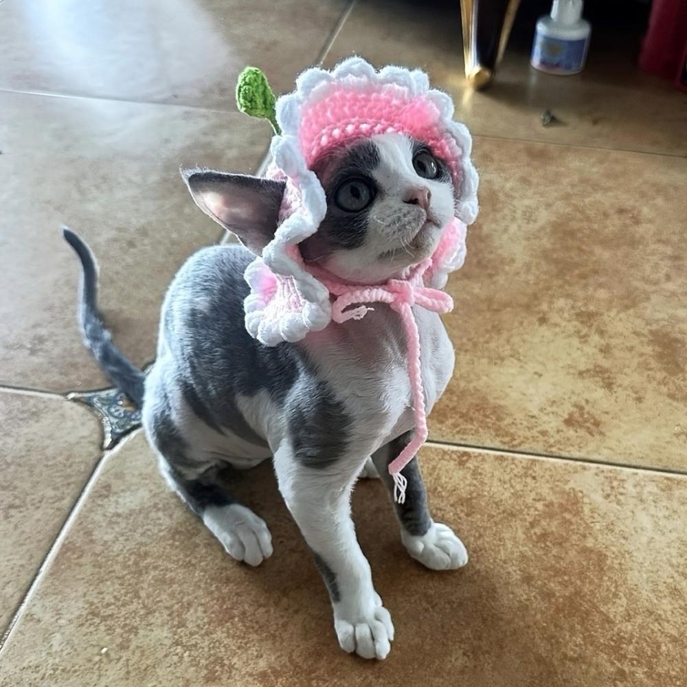 Handmade Pet Cap Crochet Cat Headwear Unique Cat Knitted Hat  Puppy Style