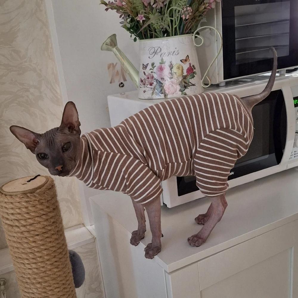 Winter Clothes for Cat, Stripped Cotton 4-legged Coat For Sphnx,Long Sleeves Undershirt for Kittens, Devon Rex Jumpsuit