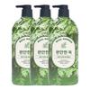 Real Garden Mugwort Mineral Soothing Body Wash 900g X3