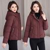 Winter new short loose hooded down cotton-padded clothes women's cold and warm thickened cotton-padded jacket