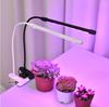 Fernbedienung LED Pflanzenwachstum Mehrkopf-Clip Pflanzenlampe Blumen-Timing Vollspektrum Tisch Sukkulenten Fülllicht