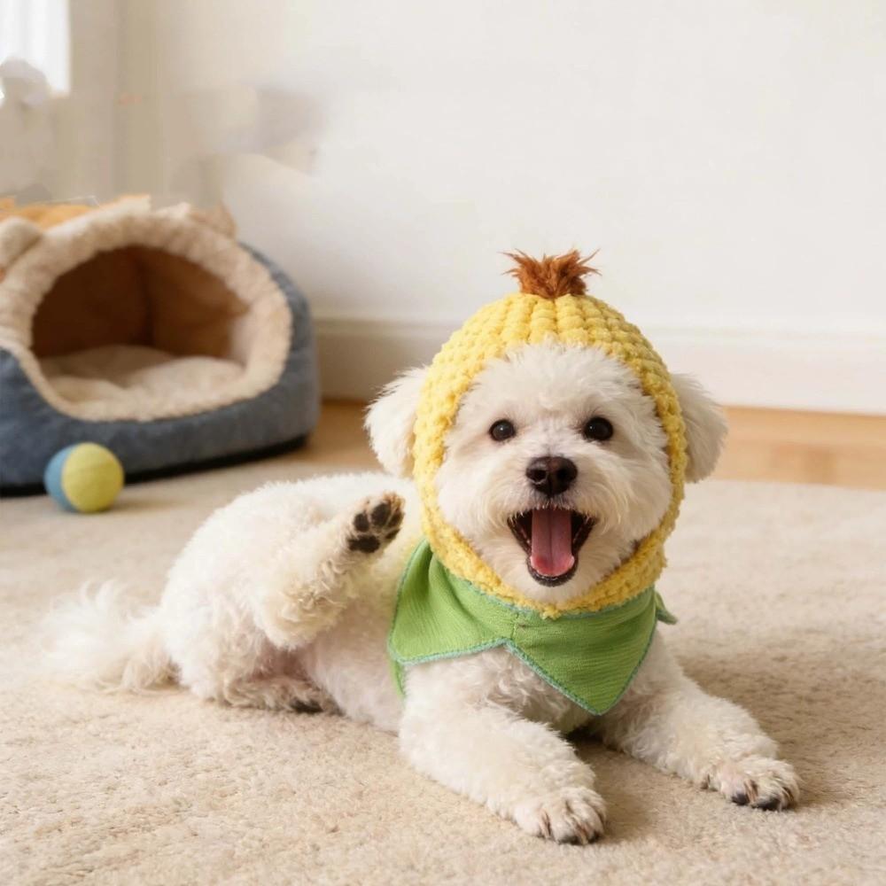 Cute Winter Dog Cap Funny Pet Headgear Pet Supplies Pet Corn Hat  Training