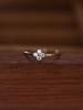 S925 Sterling Silver Four-Leaf Clover Diamond Ring - Light Luxury Design, Adjustable, Simple, and Fresh