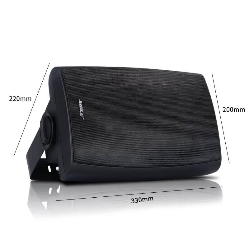 SHILE Conference Audio System with Bluetooth Amplifier and Wireless Microphones CN plug (adapter included)